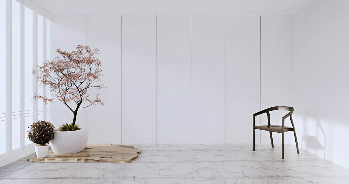 Indian Black Granite Slab in Lucknow